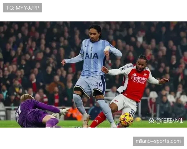 从濒临降级到冲击欧冠：霍芬海姆本赛季的蜕变之路